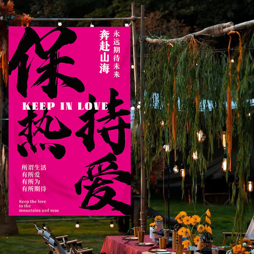 溥畔网红打卡户外露营氛围感装饰布卧室餐厅高级背景布墙布毛笔字挂布 4877-喜乐02 【四角打孔】200高*150宽厘米  +