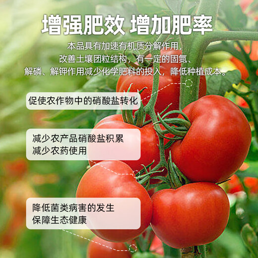 Haifa Kalifharzian Trichoderma agent Bacillus subtilis foliar water-soluble fertilizer anti-root rot microbial agent