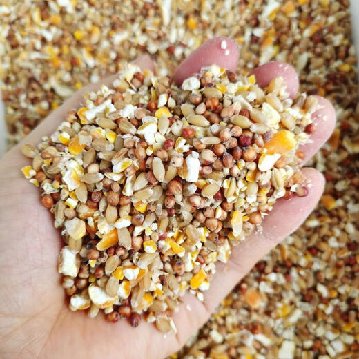 Wholesale chicken feed, sorghum, wheat and corn crushed mixed to feed chickens, corn crushed dregs, corn grits, chicken and duck grain, pigeons 1 Jin Jin is equal to 0.5 kg (sorghum + wheat + corn crushed mixed)