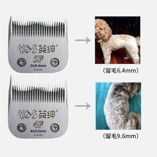 Yingshen pet electric clipper 970D pet shop professional grooming hair clipper dog shaver Teddy clipper 970d large set (including 4 hair clippers)