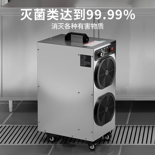ANLEAVO ozone generator food factory disinfection ozone machine industrial workshop school hospital municipal garbage room cold storage warehouse archives air purifier sterilization, deodorization and odor removal 20g/h (applicable to 200-250 square meters)