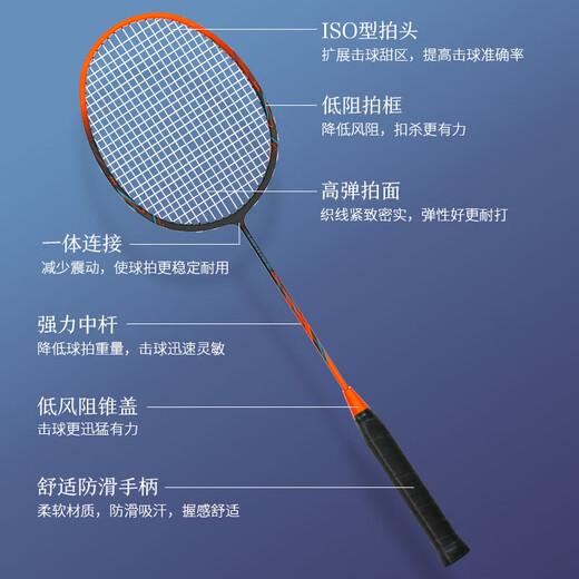 京东京造【李永波认证】全碳素4U超轻羽毛球拍对拍F300C 控制型 