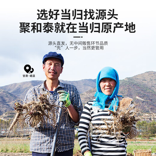 Juhetai Origin Hair Straightening Minxian Selected Special Grade Full-age Whole Root Angelicae 250g Angelica Head Tablets Soaked in Water Medicinal Materials