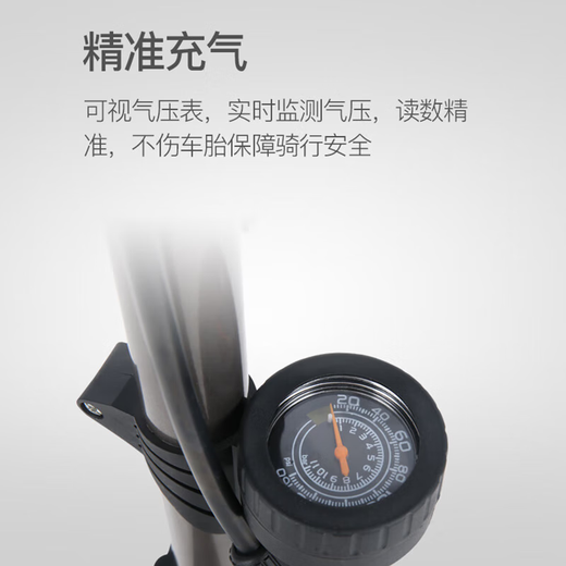 Xide Sheng (xds) bicycle lock pump light code meter seat cushion seat cushion air pump cycling water bottle gloves Trek Giant available vertical pump - titanium black