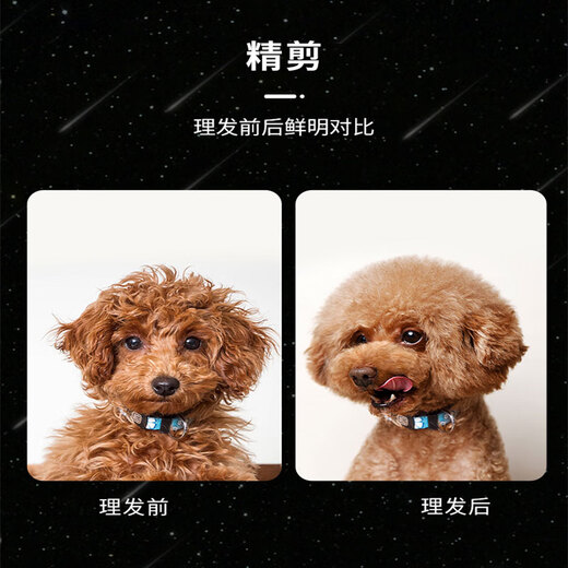 Laiwang Brothers Pet Grooming Scissors Dog Shearing Cat Haircut Durable Tools Straight Scissors/Dental Scissors/Curved Scissors Optional Trimming Scissors Starry Sky 7-inch Double Tail Curved Scissors