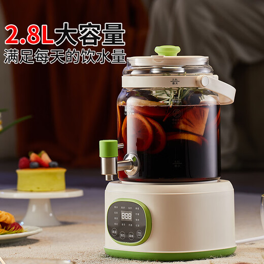Liven health pot flower tea bucket kettle teapot glass 2.8L with faucet camping flower teapot office thermostatic kettle stew all-in-one household electric kettle SH-D2855