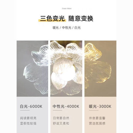 Petal Aisle Light Corridor Modern Simple Internet Celebrity Balcony Light Stair Light Entry Entrance Cloakroom Ceiling Lamp Petal Clear Light Style (Three Color Changing Light)