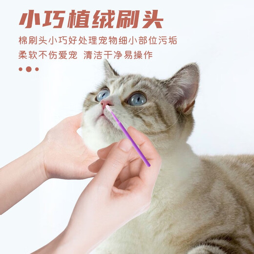Pet cleaning nostril tear line cotton swabs 100 pieces dog and cat ear cleaning tool cotton swab nostril nasal discharge cleaning cotton swab bottle 100 small blue