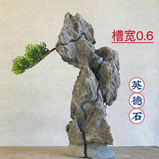 The raw stone is slotted and attached to the stone bonsai, which can be attached with elm, golden bean, fish tank, rockery, garden landscaping stone 13-17cm (slotted model will be shipped randomly)
