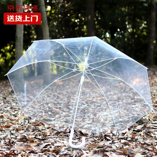 Transparent umbrella Korean style umbrella ins umbrella long handle umbrella internet celebrity thickened student girl small fresh high-end umbrella transparent