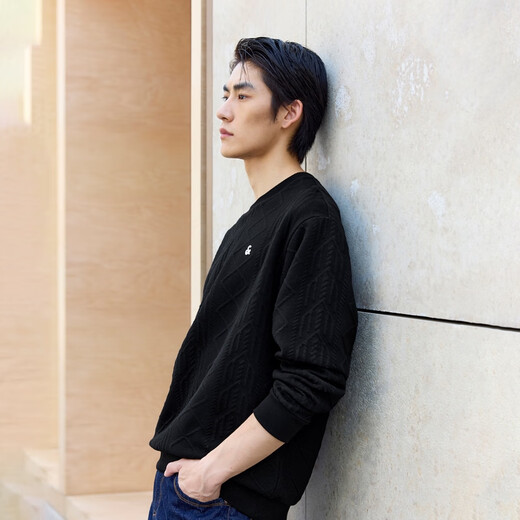 JACK&JONES, мужской осенний свитшот, однотонный текстурированный жаккардовый трикотаж на груди, универсальный топ с длинными рукавами и вышивкой 225333069