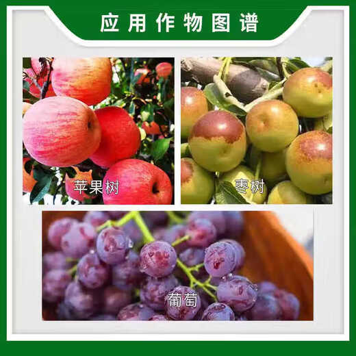 Baomeiling erythromycin gibberellin 920 grape enlargement agent to adjust fruit shape and improve fruit setting 2ml*5 bags