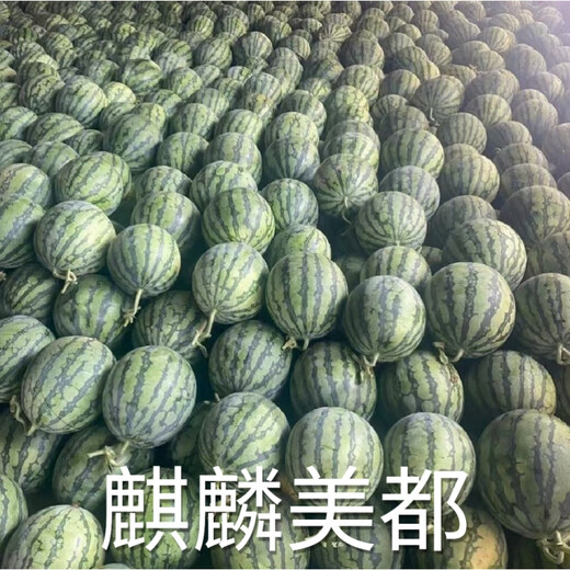 Kirin Meidu watermelon seeds with thin skin, crack-resistant, few seeds, super sweet and crispy 8424 round watermelon, Meidu watermelon seeds, 100 pieces original bag, Jinmeidu