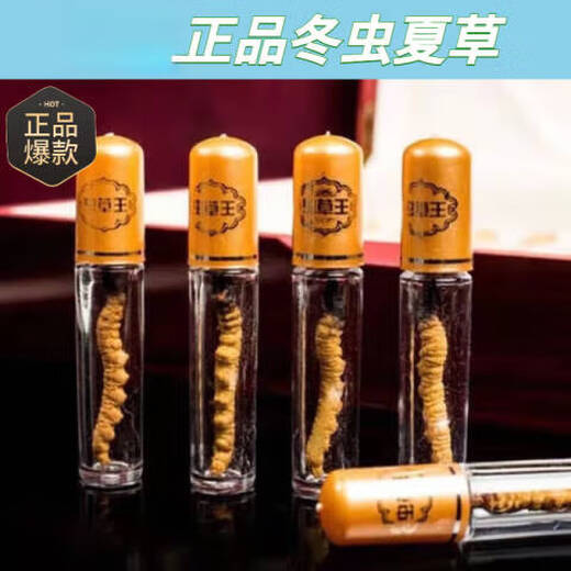 北京同仁堂【官方店专营】【甄选冬虫夏草礼盒装送礼品（规格3-4根/ 甄选冬虫夏草【1根】