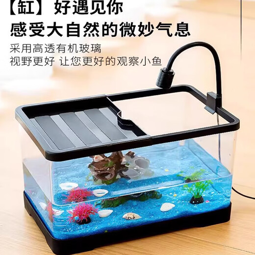 Turtle tank household landscaping filter circulation sun terrace climbing platform acrylic ecological mixed fish tank small turnover box three-in-one filter
