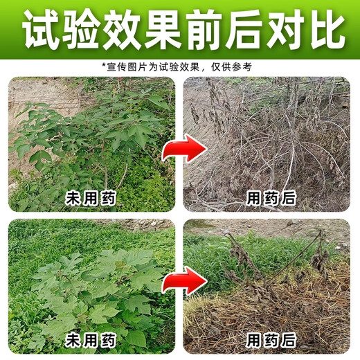 Barometer 75% cyclazinone tree dead tree removal agent, special medicine for removing big trees, bamboo shrubs, herbicides, root rot medicine 50g*1 bag, high concentration root rot agent