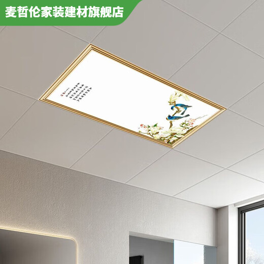 Vinoa integrated ceiling light led flat panel light 300x600 kitchen and bathroom light aluminum gusset plate embedded LED30x60 flat panel light minimalist white 300*600 (28W white light)