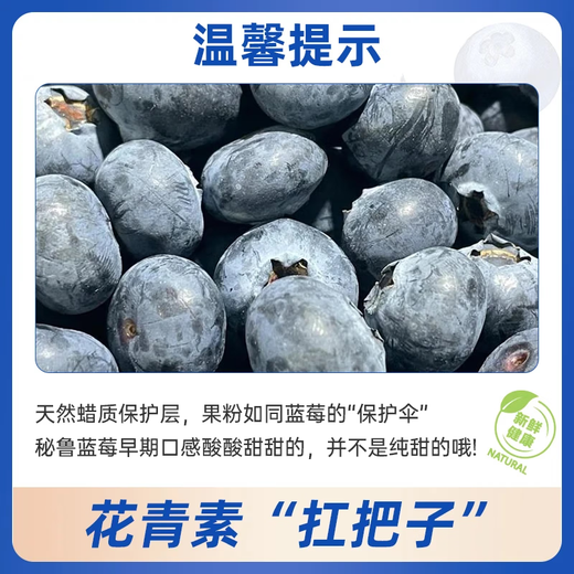 Jingxiansheng Peruvian Blueberry Big Mac 20mm+ 6 boxes 125g/box fresh fruit straight from the source