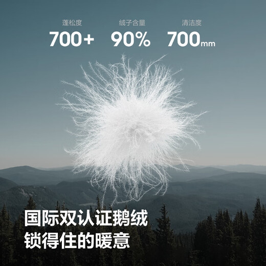 Bosideng 25 Years Goose Down Jacket Men's Autumn and Winter Lightweight Hooded Slim Short Casual Versatile Warm Jacket