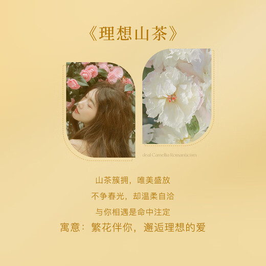 Zhen Shang Silver China Gold S925 Camellia Silver Earrings Women's Earrings Ornament Birthday Gift for Girlfriend Wife Mom