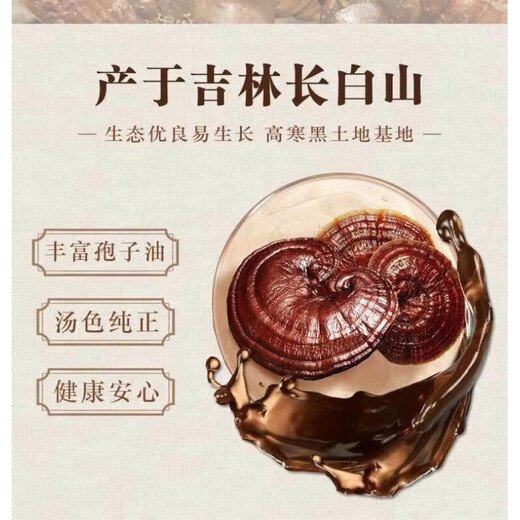Yitianjian Changbai Run Ganoderma Spore Powder Changbai Mountain Ganoderma Spore Powder Changbai Mountain Ganoderma Spore Powder 3 cans 100g/can 300g in total
