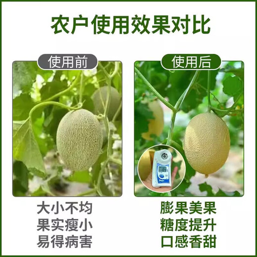 Jinzhengda Potassium Phosphite prevents diseases, inhibits bacteria, controls shoot growth, promotes flower expansion and fruit expansion, phosphorus and potassium foliar fertilizer promotes fruit expansion, Jinzhengda Potassium Phosphite 1 liter * 1 bottle
