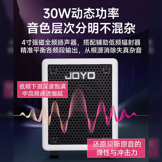 Zhuole Electric Bass Speaker 2025 New BA-30 Portable OTG Live Recording and Singing Full-range Analog Dynamic Sound BA-30 Black + cm-04 Noise Reduction Cable + Gift Package