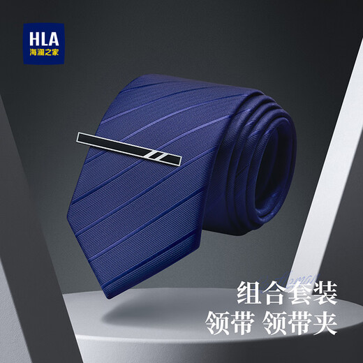 Heilan House Men's Tie Tie Clip Set Birthday Gift for Boyfriend Hand Tie Suit Accessories