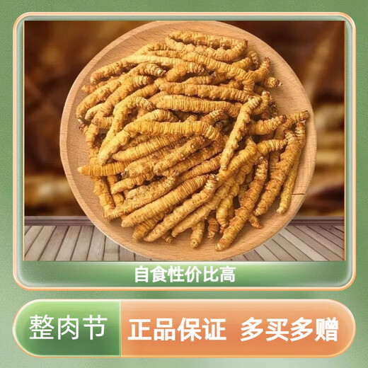冬虫夏草全肉断草甄选断虫草整肉节虫草大断草性价比高补品营养品 西藏那曲精品整肉条 100克送10克