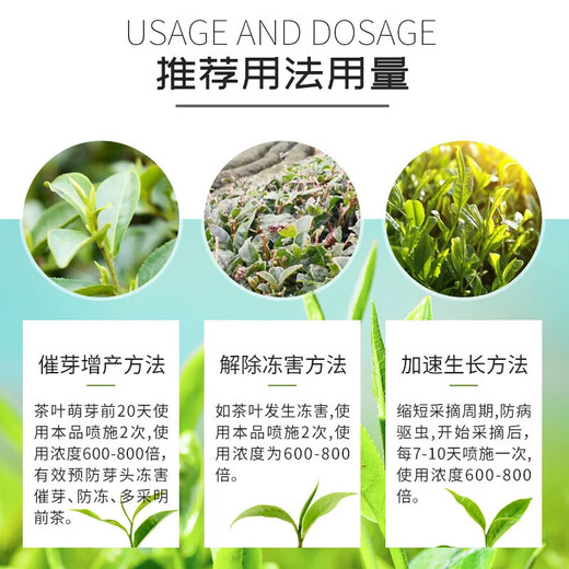 Dr. Guoguang Tea Trace Element Amino Acid Water-Soluble Fertilizer Tea Tree Special Foliar Fertilizer Iron Zinc Boron Tea Agricultural Use 1000g