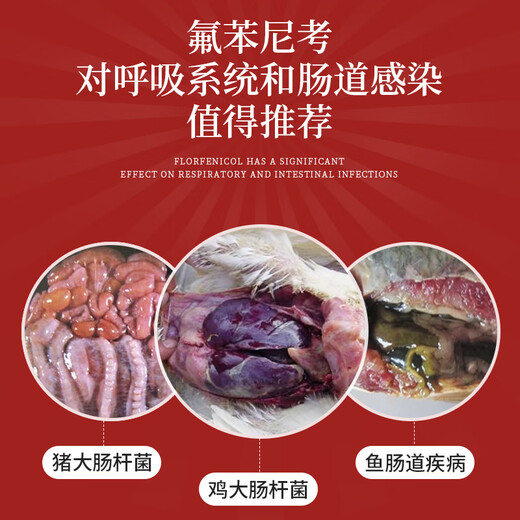 Chinese animal medicine florfenicol powder respiratory disease pig poultry chicken duck goose serositis enteritis medicine