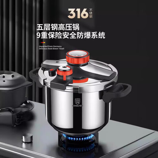 CKZSU Alemania Calidad importada 316 Onchadora de presión de acero inoxidable engrosado New Pression Cooker de explosión a prueba de presión eléctrica-5-11304 Acero inoxidable 24 cm 9l