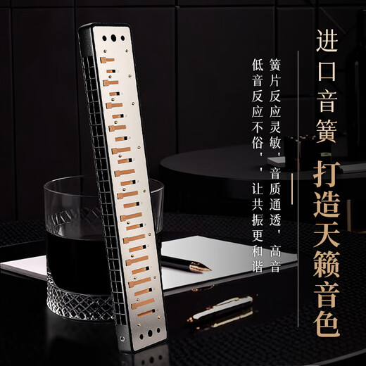Guoguang 24-hole Guozhimeng performance-grade polyphonic harmonica in C (silver, embedded, glasses case)