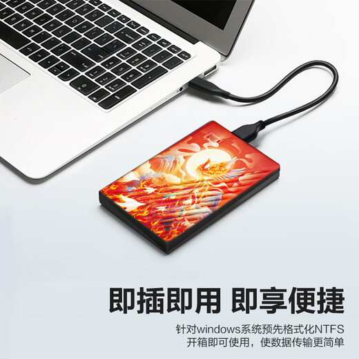 Western Digital (WD) 5TB mobile hard drive USB3.0 2.5-inch mechanical hard drive laptop external encrypted backup large-capacity storage painted customized Fire Phoenix Nirvana