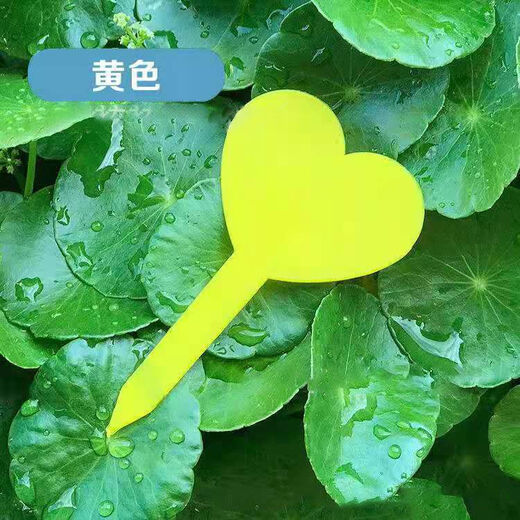 插地牌园艺多肉标签牌兰花花卉盆栽园艺插地牌植物标签防水加厚插 心形加厚绿色 100支+1支书写笔