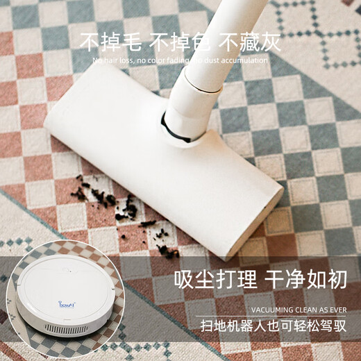 像素地毯卧室床边毯法式复古房间免打理飘窗垫客厅隔音垫加厚防滑地垫 对影成双-12347 120cm*200cm