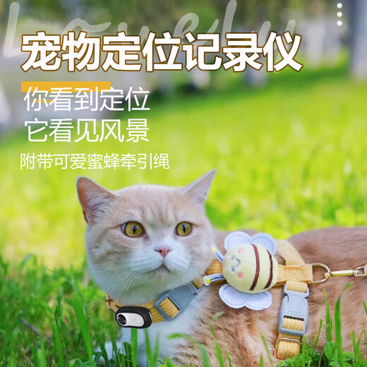 DEMOVK cat locator with camera collar anti-lost device gps tracking necklace collar detector Android anti-lost 10Jin Jin is equal to 0.5 kg or less -- precise positioning/ring search/remote switch