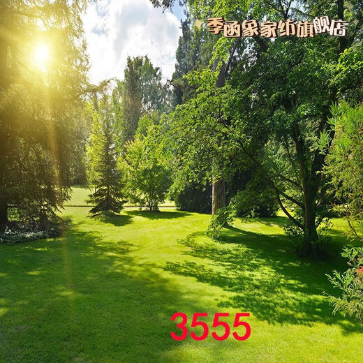 Luodaban (Luodaban) Anchor Live Broadcast Room Outdoor Night Szenen Street Light Rural Road Szenerie Tuch 3D dreidimensionales Internet Promi Live Broadcast Hintergrundtuch 2 Meter breit 2 Meter hoch 109