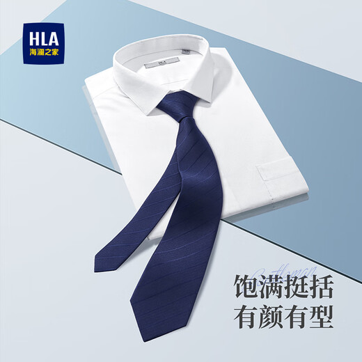 Heilan House Men's Tie Tie Clip Set Birthday Gift for Boyfriend Hand Tie Suit Accessories