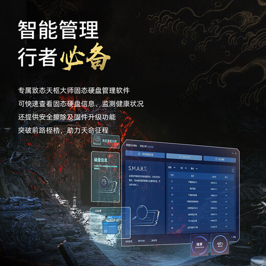 致态（ZhiTai）长江存储 4TB SSD固态硬盘 NVMe M.2接口 TiPro9000 系列《黑神话：悟空》联名版 (PCIe 5.0 产品)