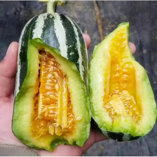 Tianfen rock sugar melon, sweet and tooth-dropping melon seeds, thin-skinned, super-sweet flower-skinned cantaloupe spring seeds, four-season fruits, autumn and summer, selected new species, cantaloupe seeds, original 300 capsules