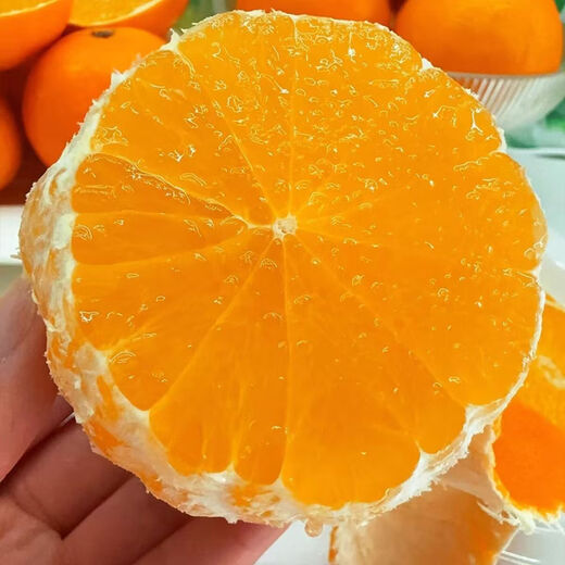 Authentic Wogan seedless fruit saplings, Wuming Wogan seeds, Wogan seeds, can be planted in the north and south, Wogan seeds, two packs of about 20 pieces