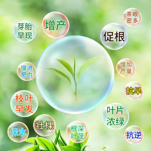 Dr. Guoguang Tea Trace Element Amino Acid Water-Soluble Fertilizer Tea Tree Special Foliar Fertilizer Iron Zinc Boron Tea Agricultural Use 1000g