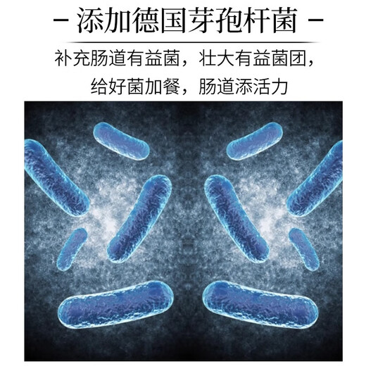 Kaiyuan Parrot Bird Food Special Premix Tiger Skin Black Phoenix Peony Parrot Bird Food Feed Special for Breeding Period Nestlings 100g Special Bird Food Premix 100g/bag