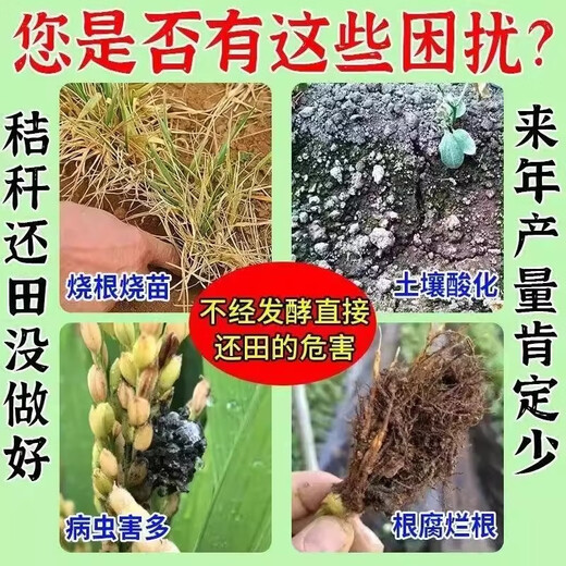 Yiqiang biocomposting fermentation bacteria kitchen waste leaves straw manure organic materials farmyard manure retting fermentation fermentation powder decomposition agent one bag for home use