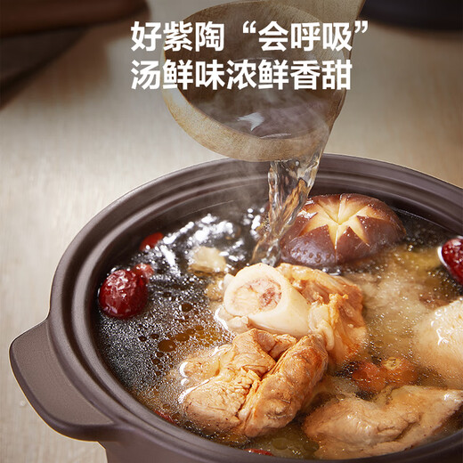 SUPOR electric stew pot, electric stew pot, electric casserole, household fully automatic soup pot, purple ceramic casserole stew pot, bird's nest porridge and soup special electric pot DG20YC815