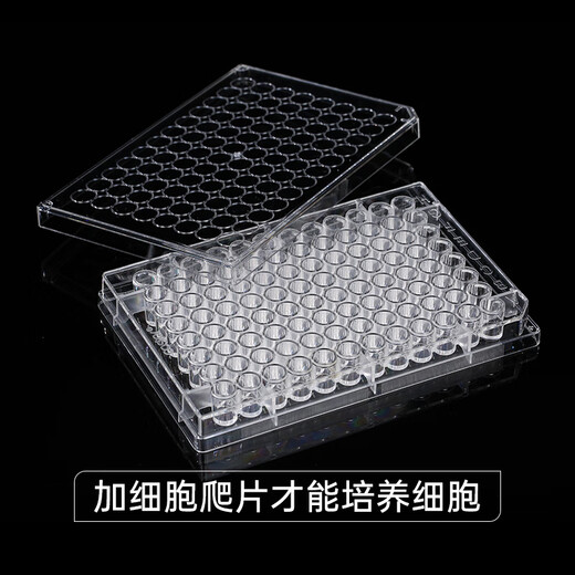 Corning Laboratory Zellkulturplatte 6-Well 12-Well 24-Well 48-Well 96-Well Selektionskulturplatte einzeln verpackt Corning 24-Well 3524 Vollkarton 100 Stück/Karton