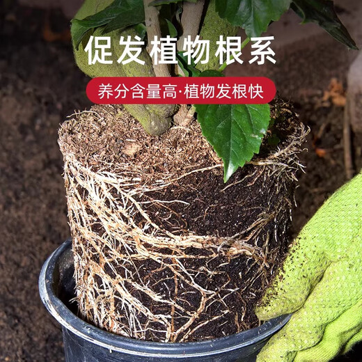 Huaminuo nutrient soil for flower cultivation, general flower soil, large bag of flower soil, 100 Jin, equal to 0.5 kg, potted flower planting soil, organic fertilizer, general nutrient soil, 50 Jin, equal to 0.5 kg, added rooting powder carbendazim