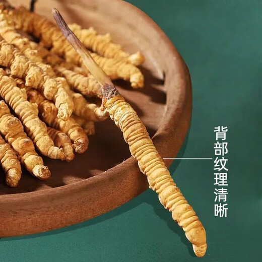 La nouvelle boîte cadeau séchée de Cordyceps séchée de Kangsil pour offrir des cadeaux à nourrir et à nourrir la qualité de sélection de Cordyceps pour les anciens Tibet Nagqu Cordyceps environ 2 racines / gram 80 racines (boîte cadeau)