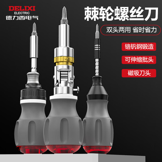 DELIXI ELECTRIC ratchet screwdriver tool set plum blossom screwdriver multi-functional household cross one word multi-angle long handle 10 in 1